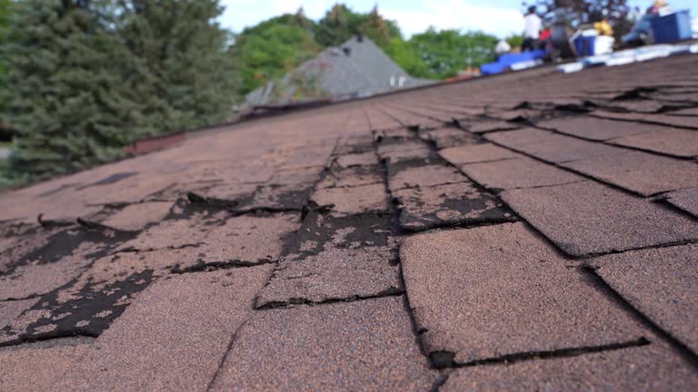 4 Ply Roofing in Saginaw, MI