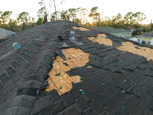 Best Roof Insulation Installation  in Saginaw, MI