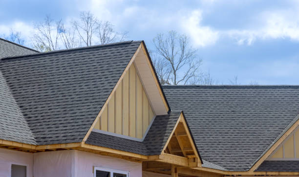Best Skylight Installation and Repair  in Saginaw, MI